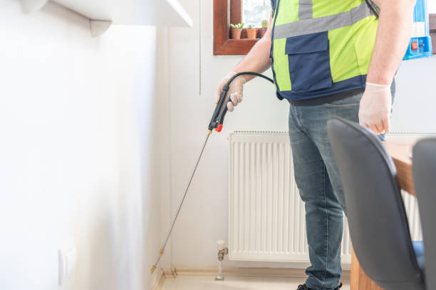 Best Emergency Pest Control  in Lake Arrowhead, CA