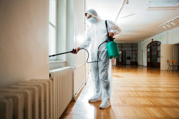 Best Pest Control for Homes  in Lake Arrowhead, CA