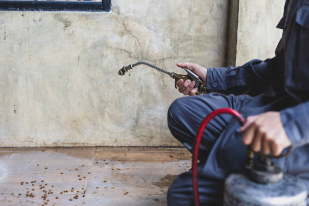 Best Wasp Removal Services  in Lake Arrowhead, CA
